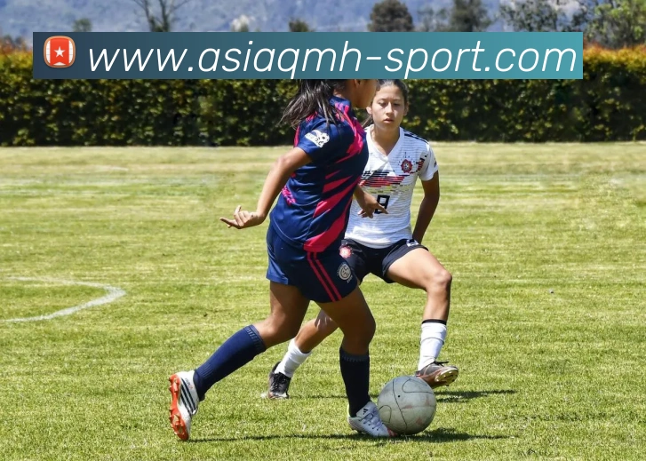 球盟会(QMH)官方授权体育信息服务中心服务体系